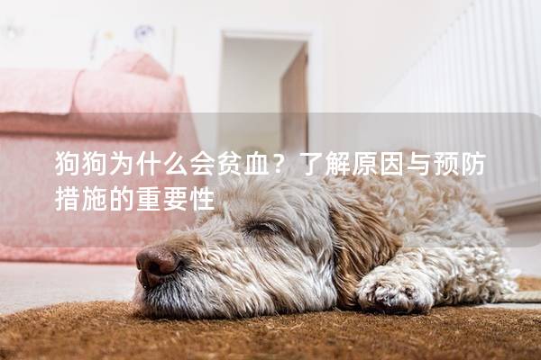 狗狗为什么会贫血？了解原因与预防措施的重要性
