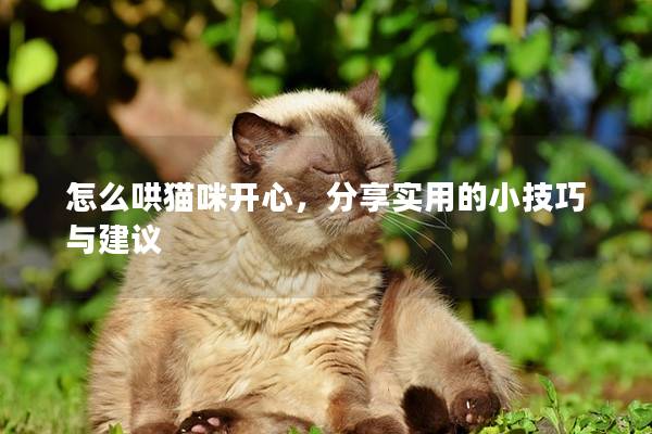 怎么哄猫咪开心，分享实用的小技巧与建议