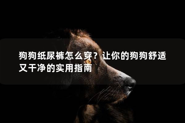 狗狗纸尿裤怎么穿？让你的狗狗舒适又干净的实用指南