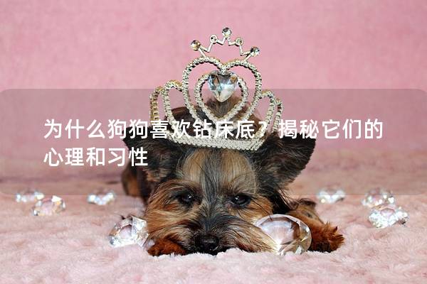 为什么狗狗喜欢钻床底？揭秘它们的心理和习性