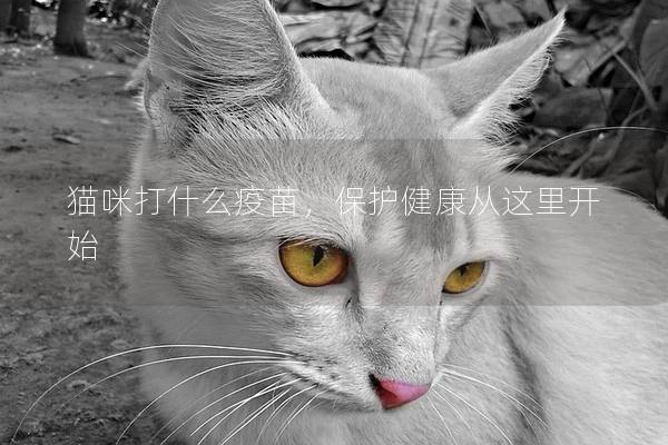 猫咪打什么疫苗，保护健康从这里开始