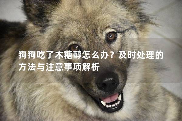 狗狗吃了木糖醇怎么办？及时处理的方法与注意事项解析