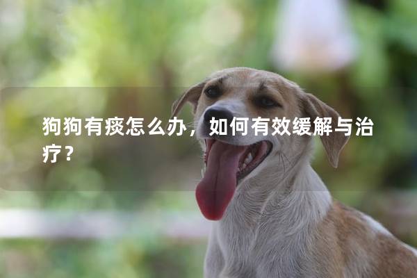 狗狗有痰怎么办，如何有效缓解与治疗？
