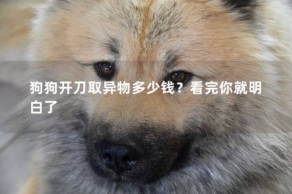 狗狗开刀取异物多少钱？看完你就明白了
