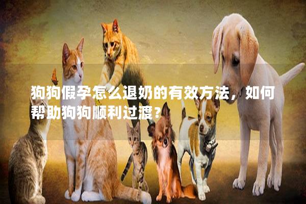 狗狗假孕怎么退奶的有效方法，如何帮助狗狗顺利过渡？