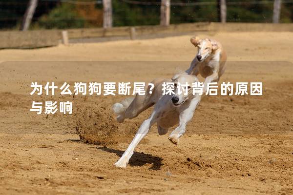 为什么狗狗要断尾？探讨背后的原因与影响