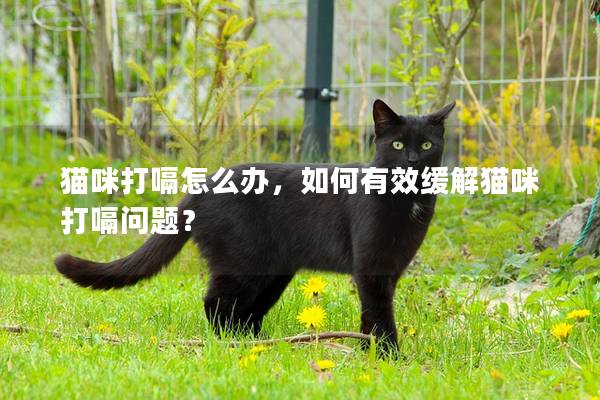 猫咪打嗝怎么办，如何有效缓解猫咪打嗝问题？