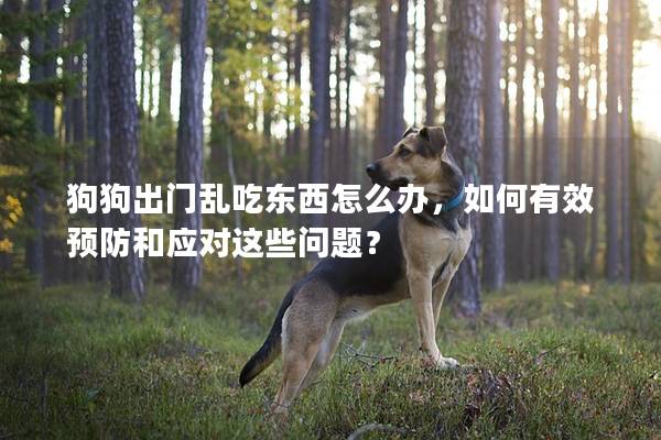 狗狗出门乱吃东西怎么办，如何有效预防和应对这些问题？