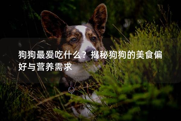狗狗最爱吃什么？揭秘狗狗的美食偏好与营养需求