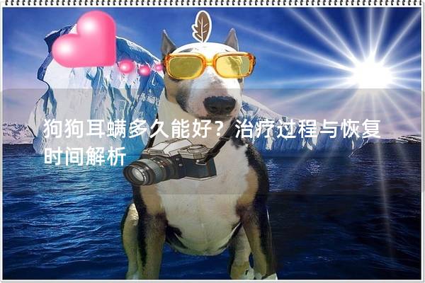 狗狗耳螨多久能好？治疗过程与恢复时间解析
