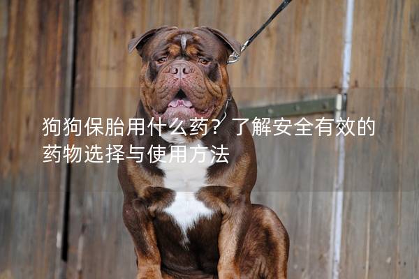 狗狗保胎用什么药?了解安全有效的药物选择与使用方法 狗狗保胎用什么药?了解安全有效的药物选择与使用方法