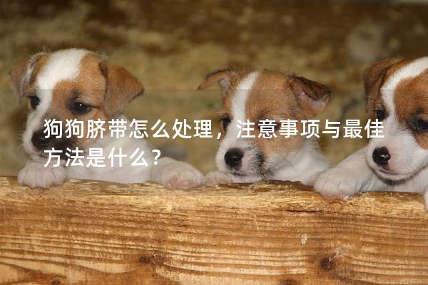 狗狗脐带怎么处理，注意事项与最佳方法是什么？
