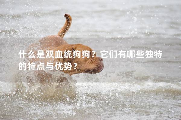什么是双血统狗狗？它们有哪些独特的特点与优势？