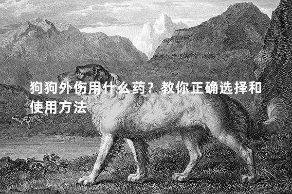 狗狗外伤用什么药?教你正确选择和使用方法 狗狗外伤用什么药?教你正确选择和使用方法