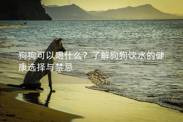 狗狗可以喝什么？了解狗狗饮水的健康选择与禁忌