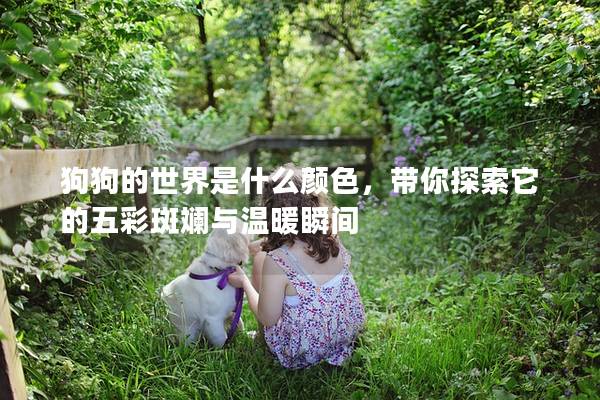 狗狗的世界是什么颜色，带你探索它的五彩斑斓与温暖瞬间