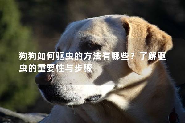狗狗如何驱虫的方法有哪些？了解驱虫的重要性与步骤