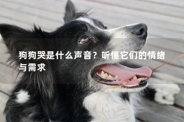 狗狗哭是什么声音？听懂它们的情绪与需求