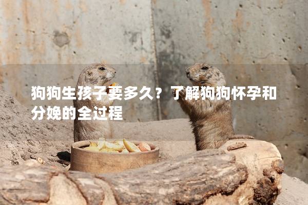 狗狗生孩子要多久？了解狗狗怀孕和分娩的全过程