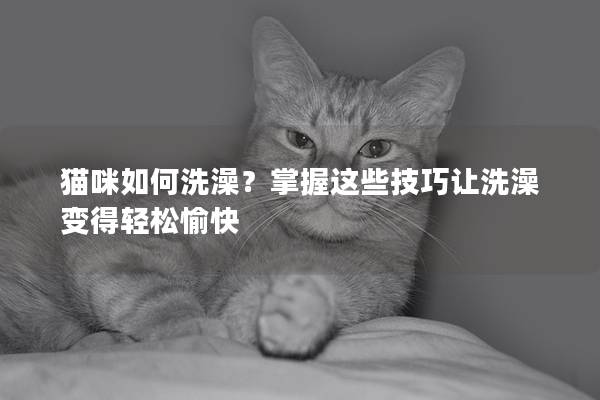 猫咪如何洗澡?掌握这些技巧让洗澡变得轻松愉快 猫咪如何洗澡?掌握这些技巧让洗澡变得轻松愉快