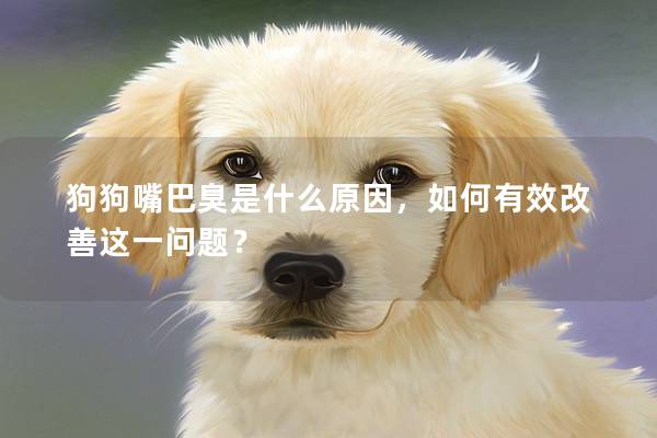 狗狗嘴巴臭是什么原因，如何有效改善这一问题？