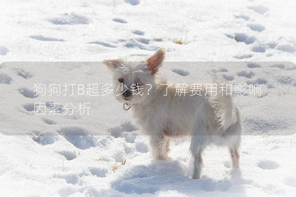 狗狗打B超多少钱？了解费用和影响因素分析