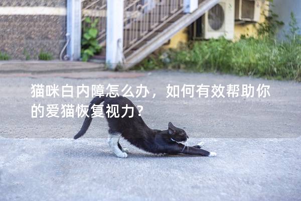 猫咪白内障怎么办,如何有效帮助你的爱猫恢复视力? 猫咪白内障怎么办,如何有效帮助你的爱猫恢复视力?