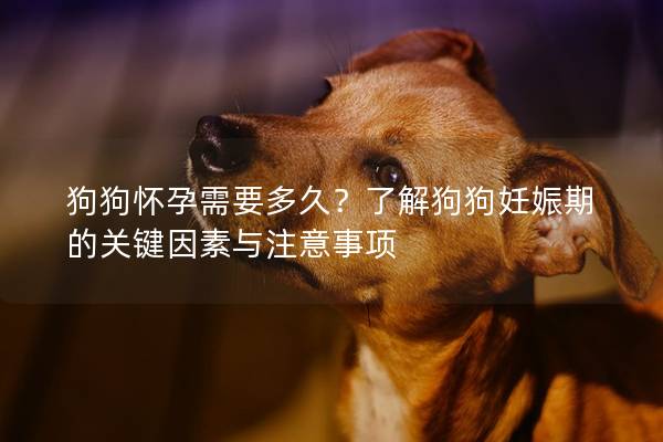 狗狗怀孕需要多久？了解狗狗妊娠期的关键因素与注意事项