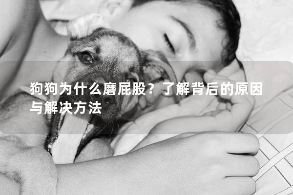 狗狗为什么磨屁股？了解背后的原因与解决方法
