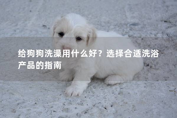 给狗狗洗澡用什么好？选择合适洗浴产品的指南