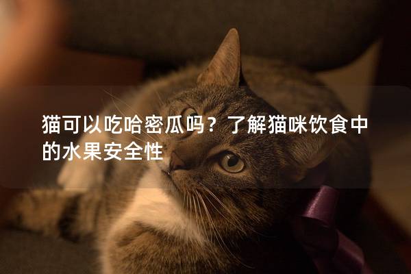 猫可以吃哈密瓜吗？了解猫咪饮食中的水果安全性