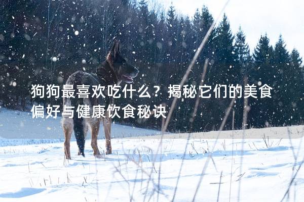 狗狗最喜欢吃什么?揭秘它们的美食偏好与健康饮食秘诀 狗狗最喜欢吃什么?揭秘它们的美食偏好与健康饮食秘诀