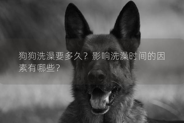 狗狗洗澡要多久？影响洗澡时间的因素有哪些？