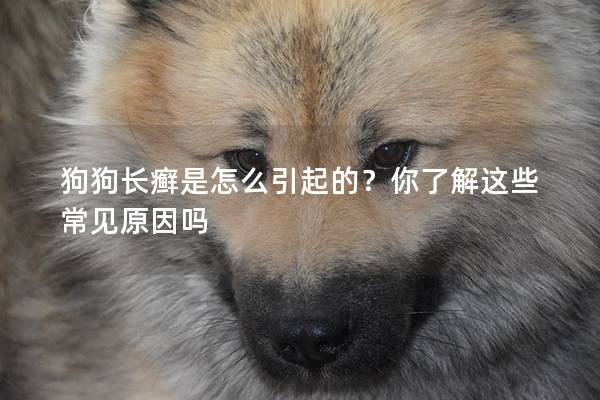 狗狗长癣是怎么引起的？你了解这些常见原因吗