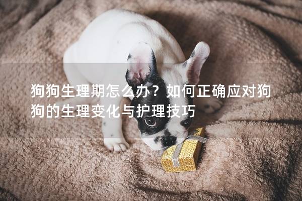 狗狗生理期怎么办？如何正确应对狗狗的生理变化与护理技巧