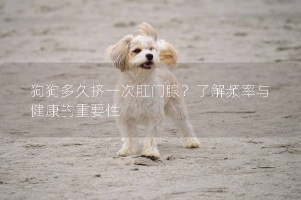 狗狗多久挤一次肛门腺？了解频率与健康的重要性