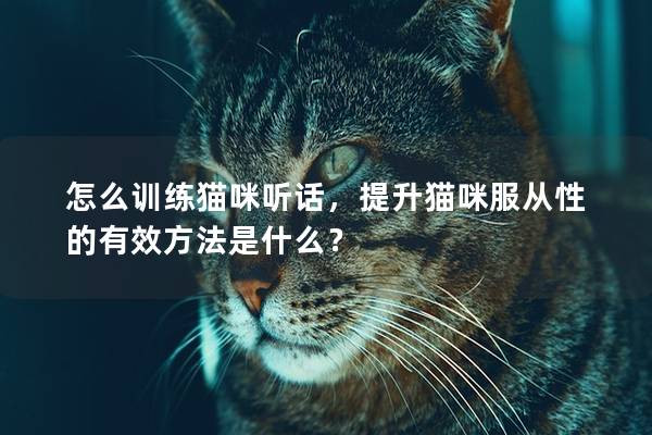 怎么训练猫咪听话，提升猫咪服从性的有效方法是什么？