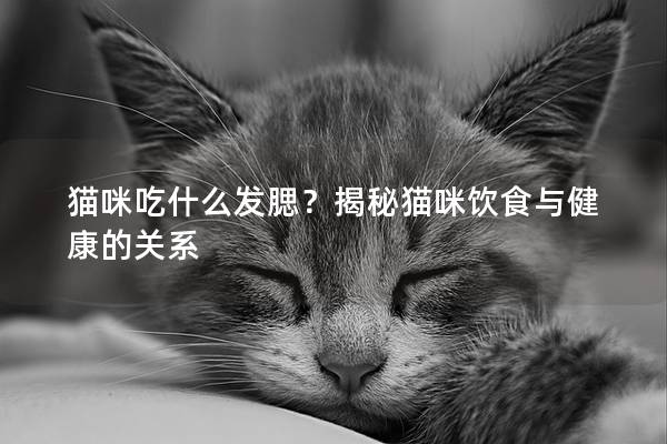 猫咪吃什么发腮？揭秘猫咪饮食与健康的关系