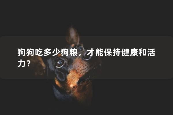 狗狗吃多少狗粮，才能保持健康和活力？
