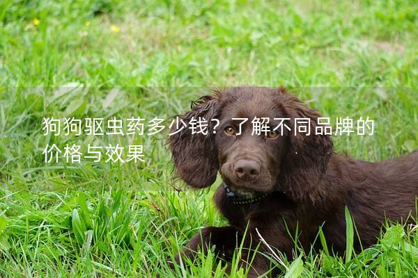 狗狗驱虫药多少钱？了解不同品牌的价格与效果
