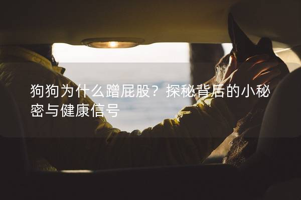 狗狗为什么蹭屁股？探秘背后的小秘密与健康信号
