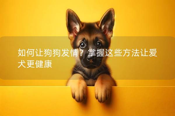 如何让狗狗发情？掌握这些方法让爱犬更健康