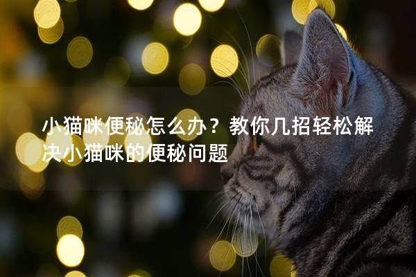 小猫咪便秘怎么办?教你几招轻松解决小猫咪的便秘问题 小猫咪便秘怎么办?教你几招轻松解决小猫咪的便秘问题