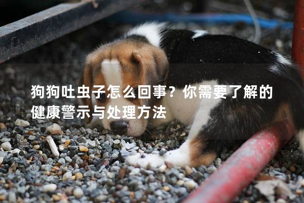 狗狗吐虫子怎么回事？你需要了解的健康警示与处理方法