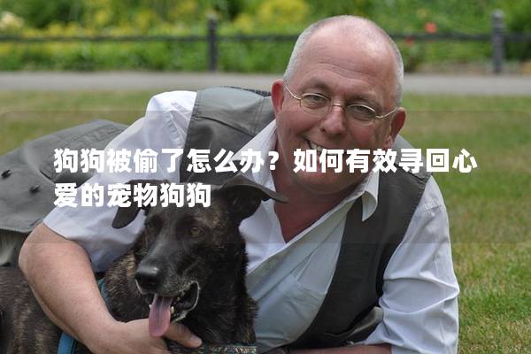 狗狗被偷了怎么办？如何有效寻回心爱的宠物狗狗