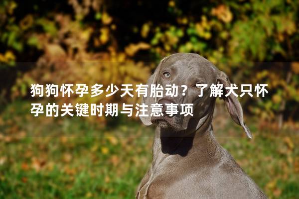 狗狗怀孕多少天有胎动?了解犬只怀孕的关键时期与注意事项 狗狗怀孕多少天有胎动?了解犬只怀孕的关键时期与注意事项