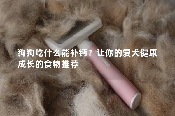 狗狗吃什么能补钙？让你的爱犬健康成长的食物推荐