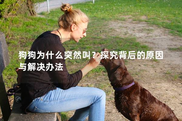 狗狗为什么突然叫？探究背后的原因与解决办法