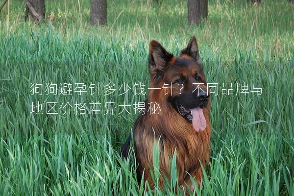 狗狗避孕针多少钱一针？不同品牌与地区价格差异大揭秘