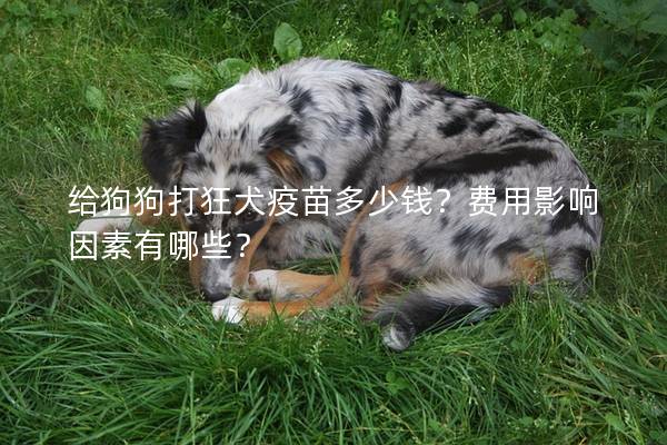 给狗狗打狂犬疫苗多少钱？费用影响因素有哪些？